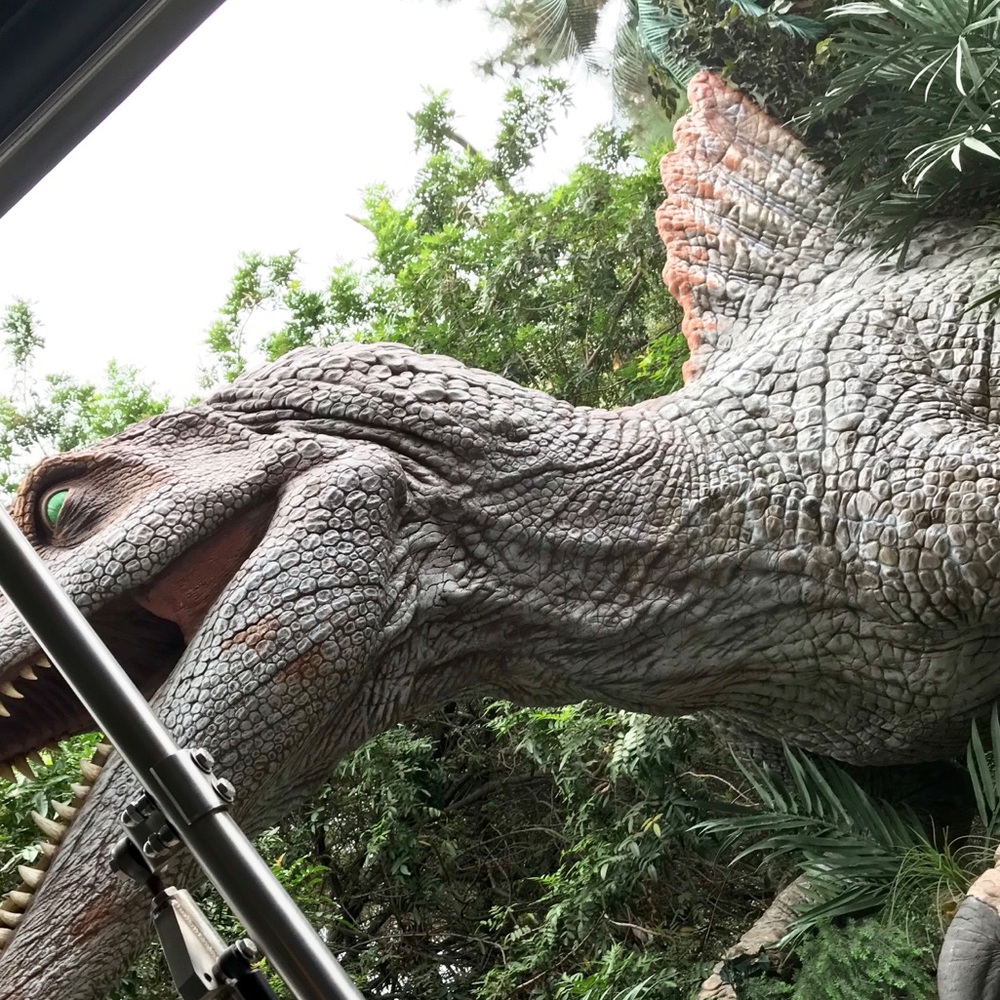 Meet your Posher, Woodson